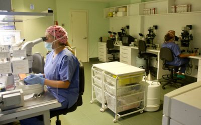 Diagnóstico genético preimplantacional