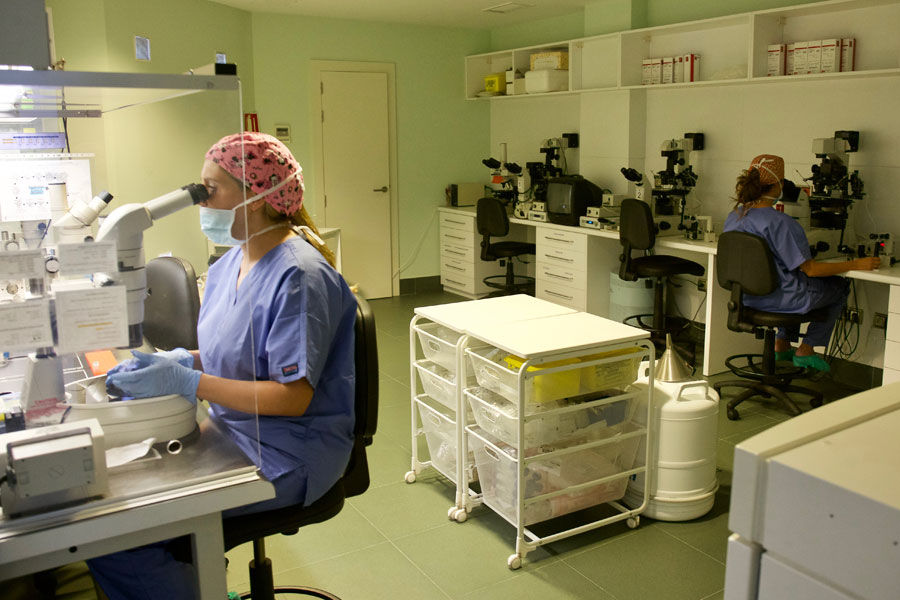 Diagnóstico genético preimplantacional